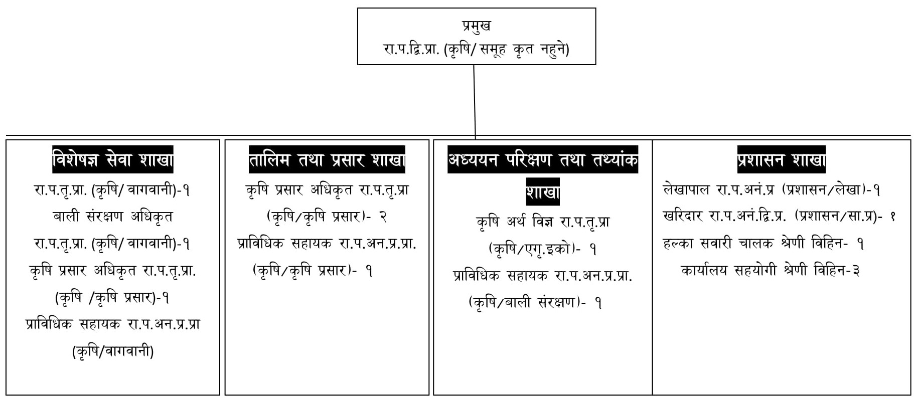 Organization Structure